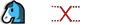 TnoxSwap