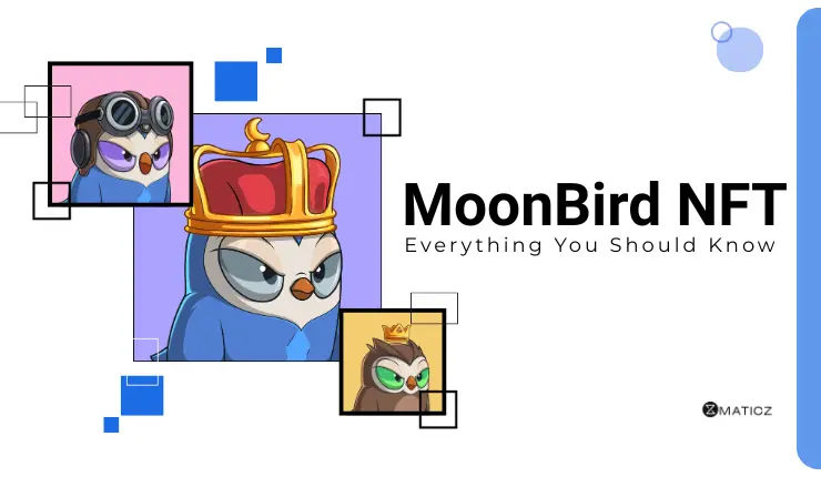 Moonbirds NFT - Everything You Need to Know About This Unique Digital Collectible