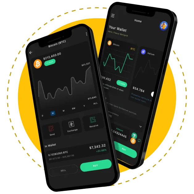 Hire Solana Blockchain Developers